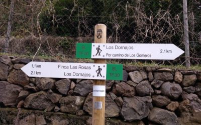 Camino de los Dornajos