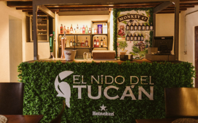 El Nido del Tucán, Tapa de Oro