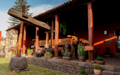 La Casa del Vino de Tenerife recibe un Solete de la ‘Guía Repsol’